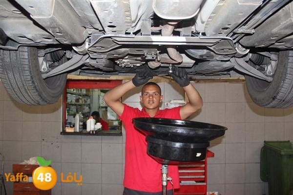 avis lud 0524 (15).JPG